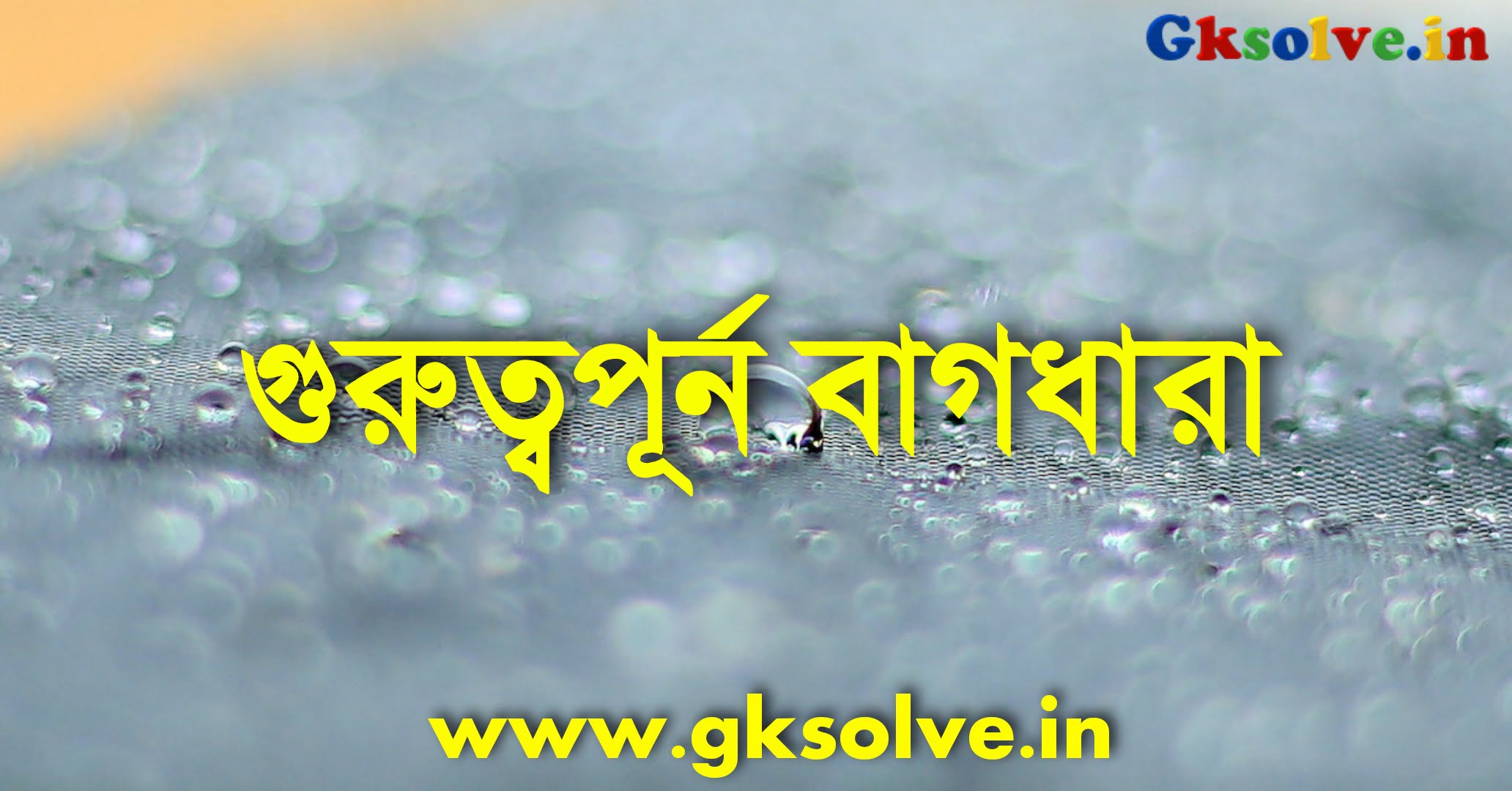 Bangla Bagdhara PDF